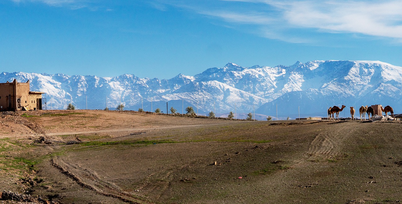 Location Villa au Désert Agafay