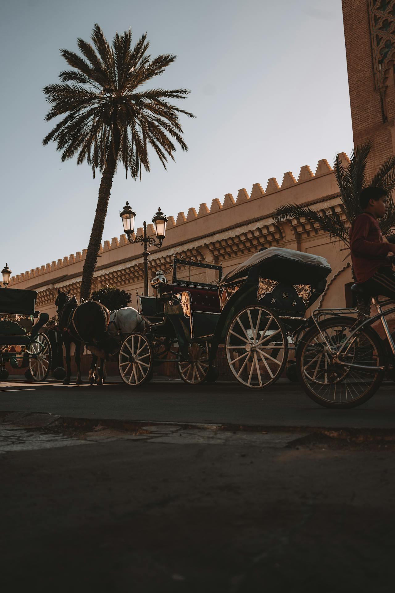  la Location de Calèche à Marrakech