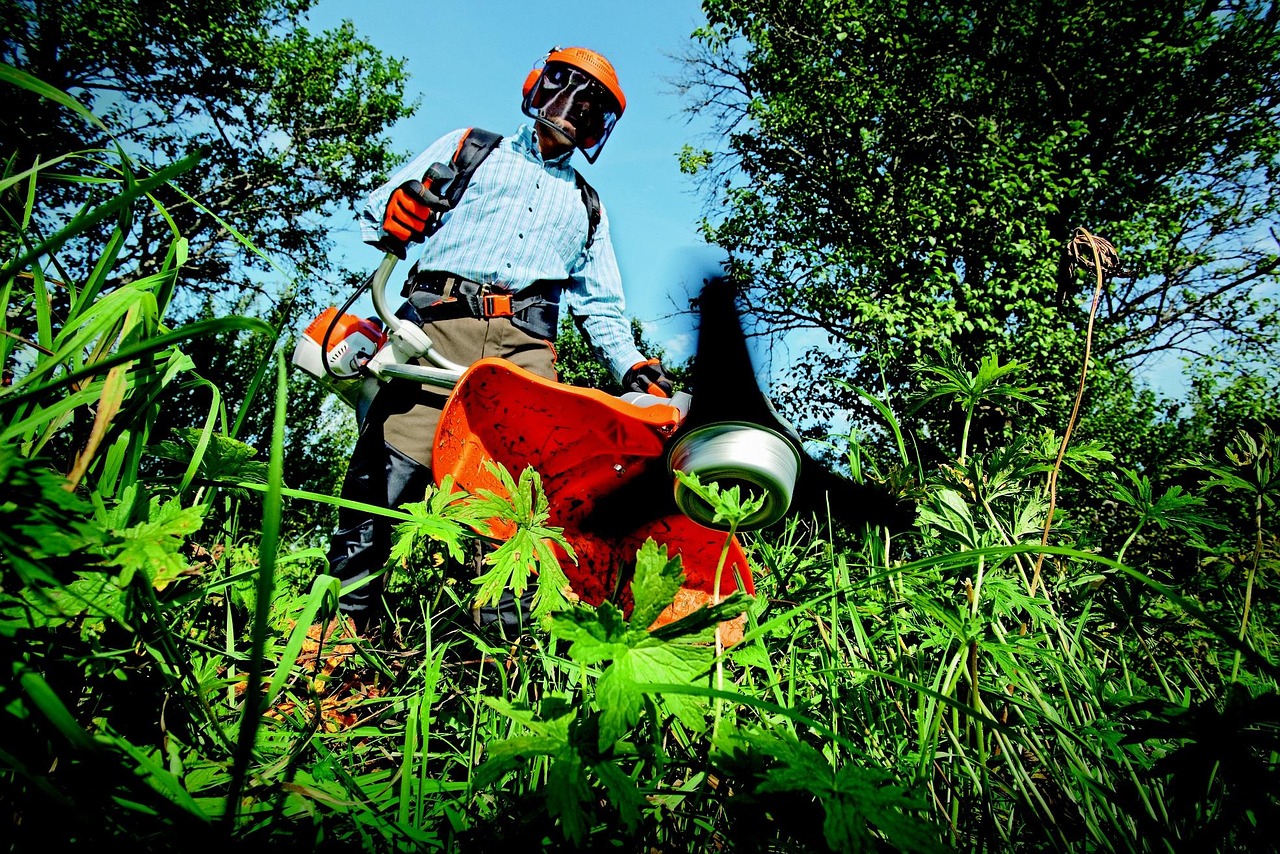 Garden Maintenance and Landscaping In Marrakech
